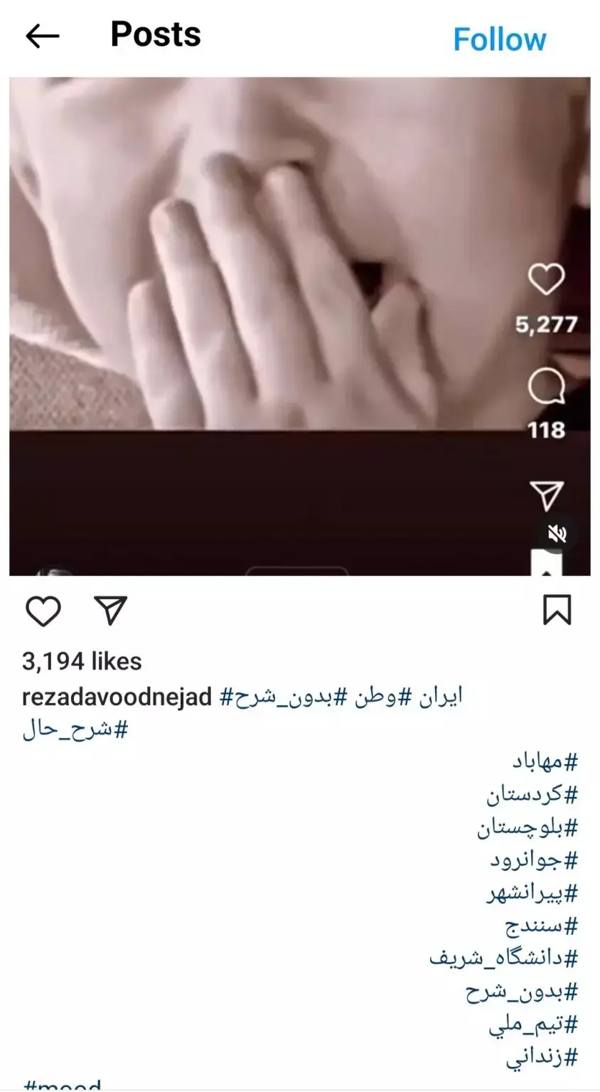 رضا داوودنژاد