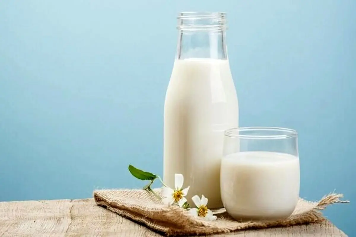 آیا خوردن شیر به کاهش وزن کمک می‌کند؟