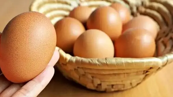خوردن روزی چند تخم‌مرغ بدون اشکال است؟