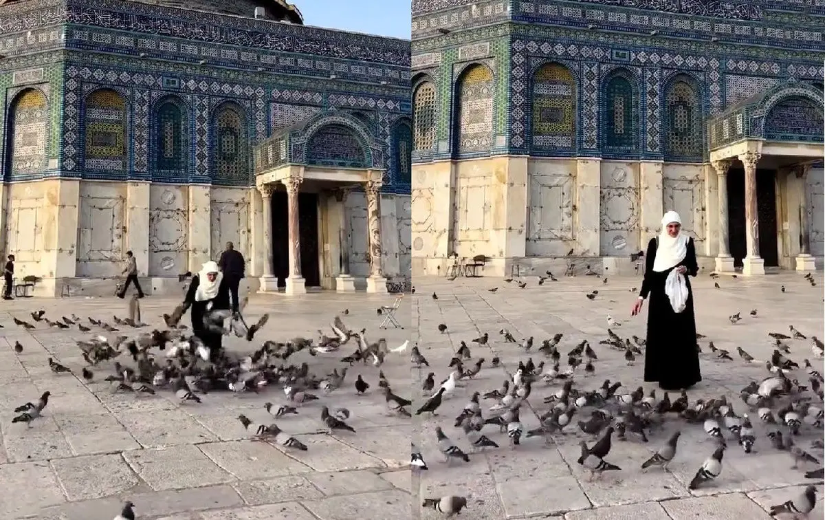 ویدئوی تماشایی از کبوتربازی یک زن در صحن مسجد الاقصی