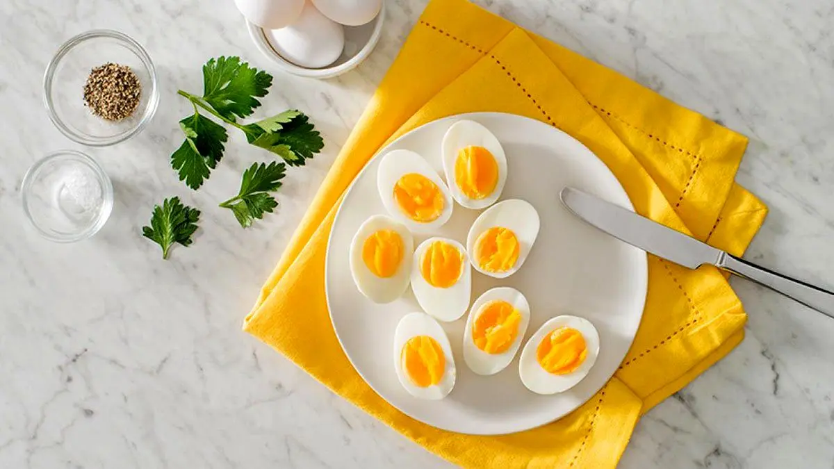 آیا خوردن تخم‌مرغ ما را لاغرتر می‌کند؟
