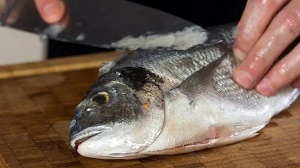 ویدئو: ماهیگیری و سرخ کردن ماهی در طبیعت