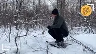 ویدئوی جالب از لحظه‌ی افتادن شاخ گوزن