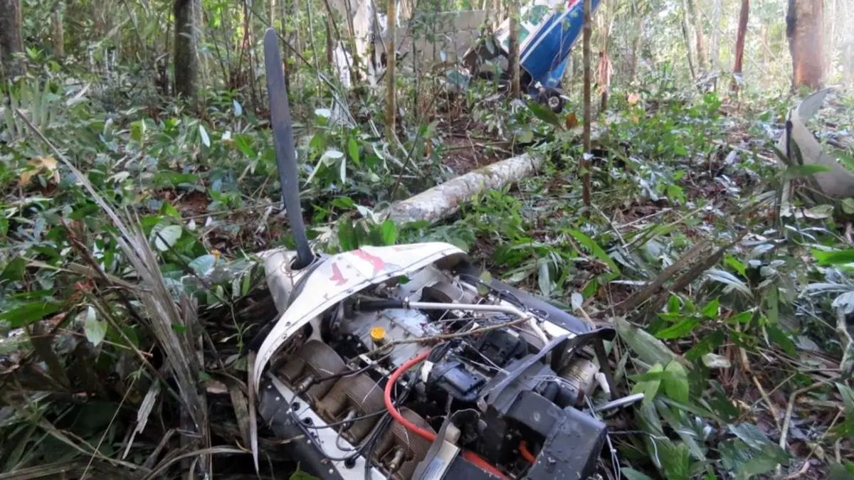 ویدئو: لحظه هولناک سقوط هواپیما پس از برخورد با درخت