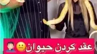 ویدئوی شرم‌آور این زوج ایرانی همه را عصبانی کرد!