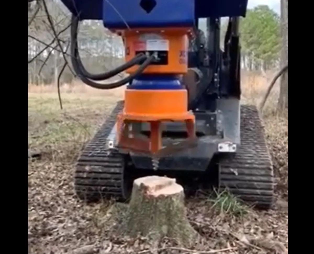 ویدئو: کندن کنده و جابه‌جا کردن درخت با یک دستگاه جالب