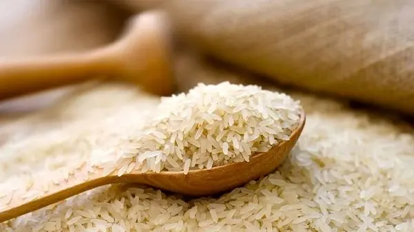 واردات برنج ممنوع شد؟ 
