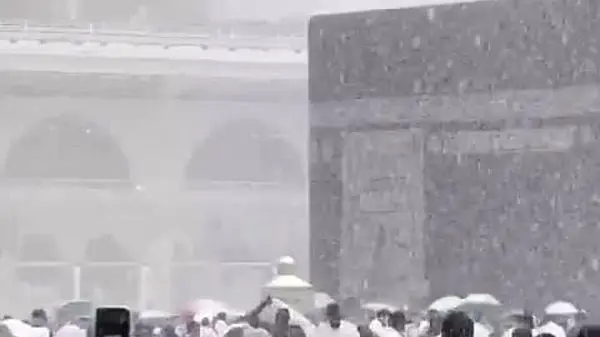 بارش برف پایتخت را سفیدپوش کرد + ویدئو