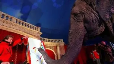 ویدئوی باورنکردنی از نقاشی کشیدن یک فیل هنرمند با خرطومش!
