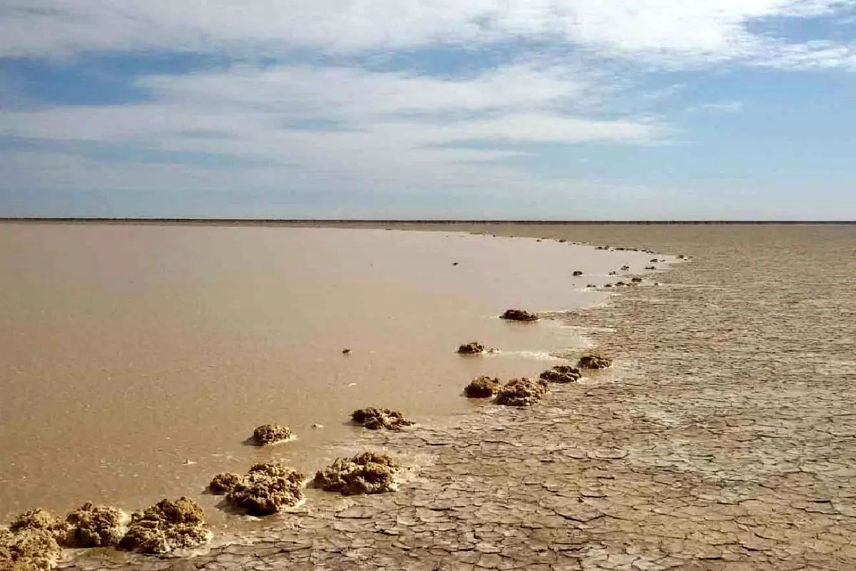  اقدام عجیب طالبان درباره حق‌آبه ایران