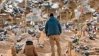 تصاویر دردناک از قبرستان بی نام و نشان از جانباختگان زلزله ترکیه