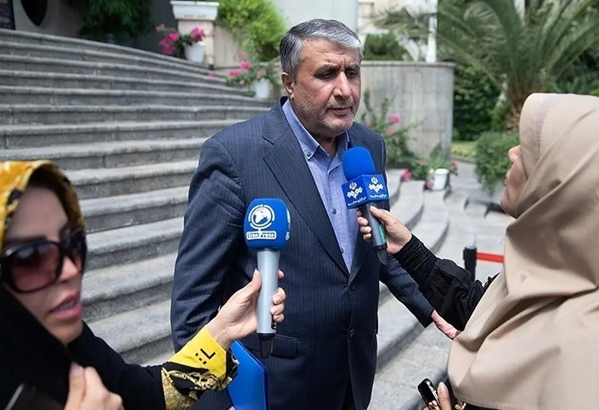 رئیس سازمان انرژی اتمی: ورود بازرسان آژانس به ایران ممنوع نیست و ۱۳۰ بازرس مجاز به حضور در ایران هستند
