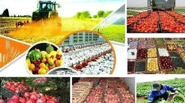 رشد ۱۴ درصدی صادرات صنایع غذایی