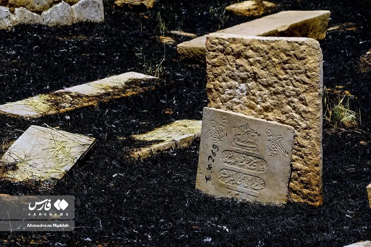 وادی السلام ۱۰۰۰ ساله طعمه حریق شد! + عکس