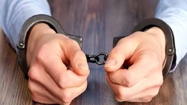 بازداشت ۲۵ پسر و دختر در پارتی مختلط