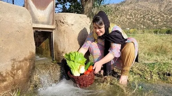 ویدئوی پربازدید از  کباب کردن گوشت، بادمجان و گوجه توسط خانواده کردستانی