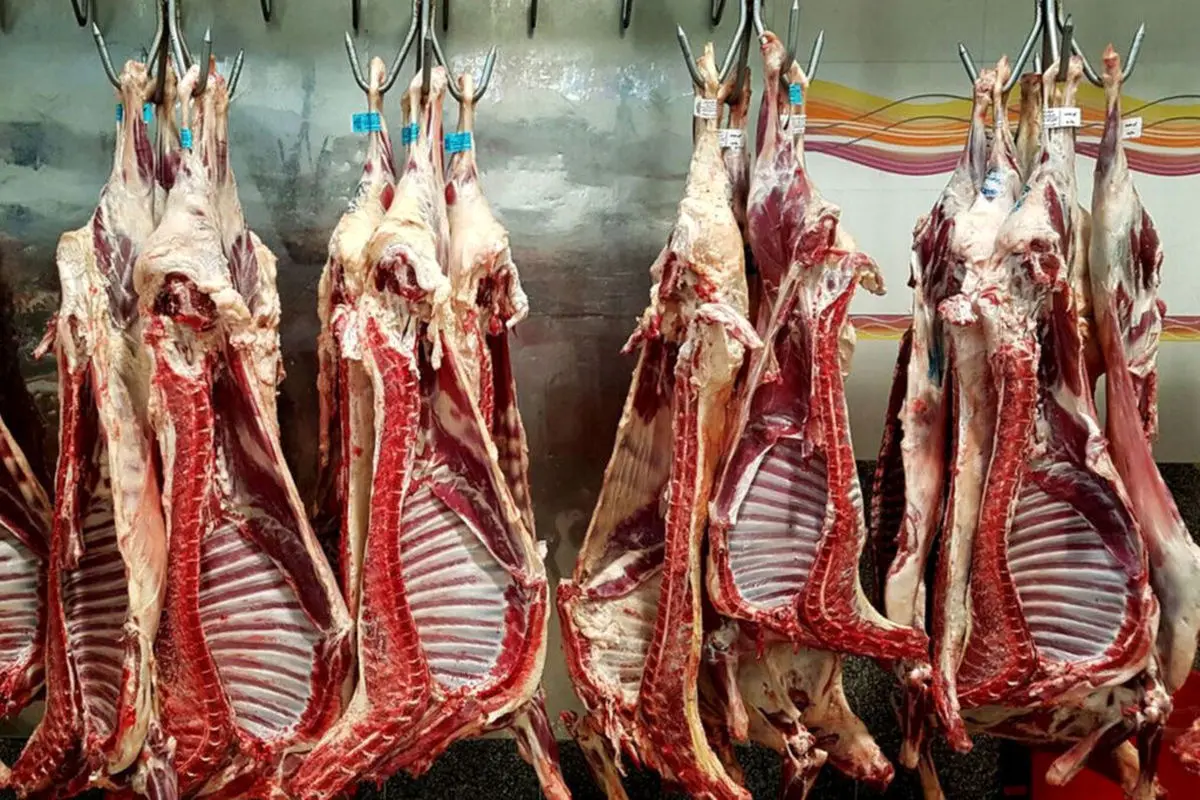 تکذیب حذف دلار ۲۸۵۰۰ تومانی برای واردات گوشت