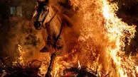 عبور با اسب از میان آتش برای آیین سنتی + ویدئو