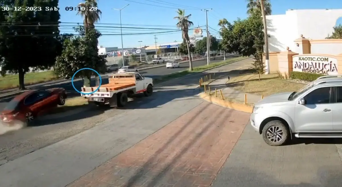 ویدئوی باورنکردنی از برخورد مرگبار یک خودرو با مردی در حال چیدن میوه از درخت