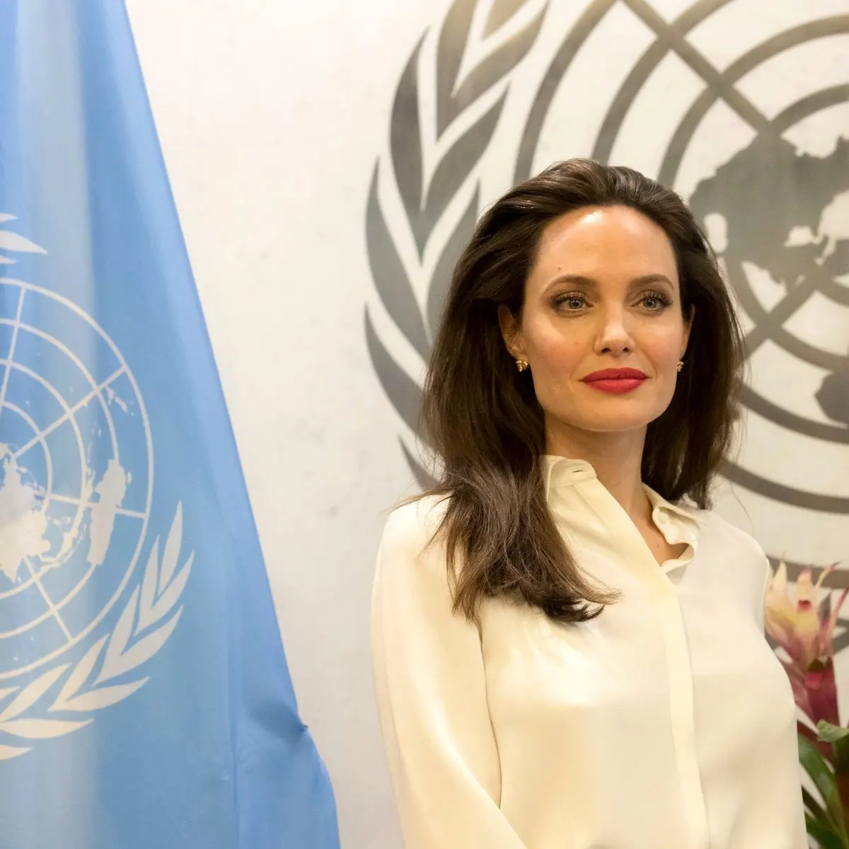  کناره‌گیری آنجلینا جولی از سمت خود در سازمان ملل