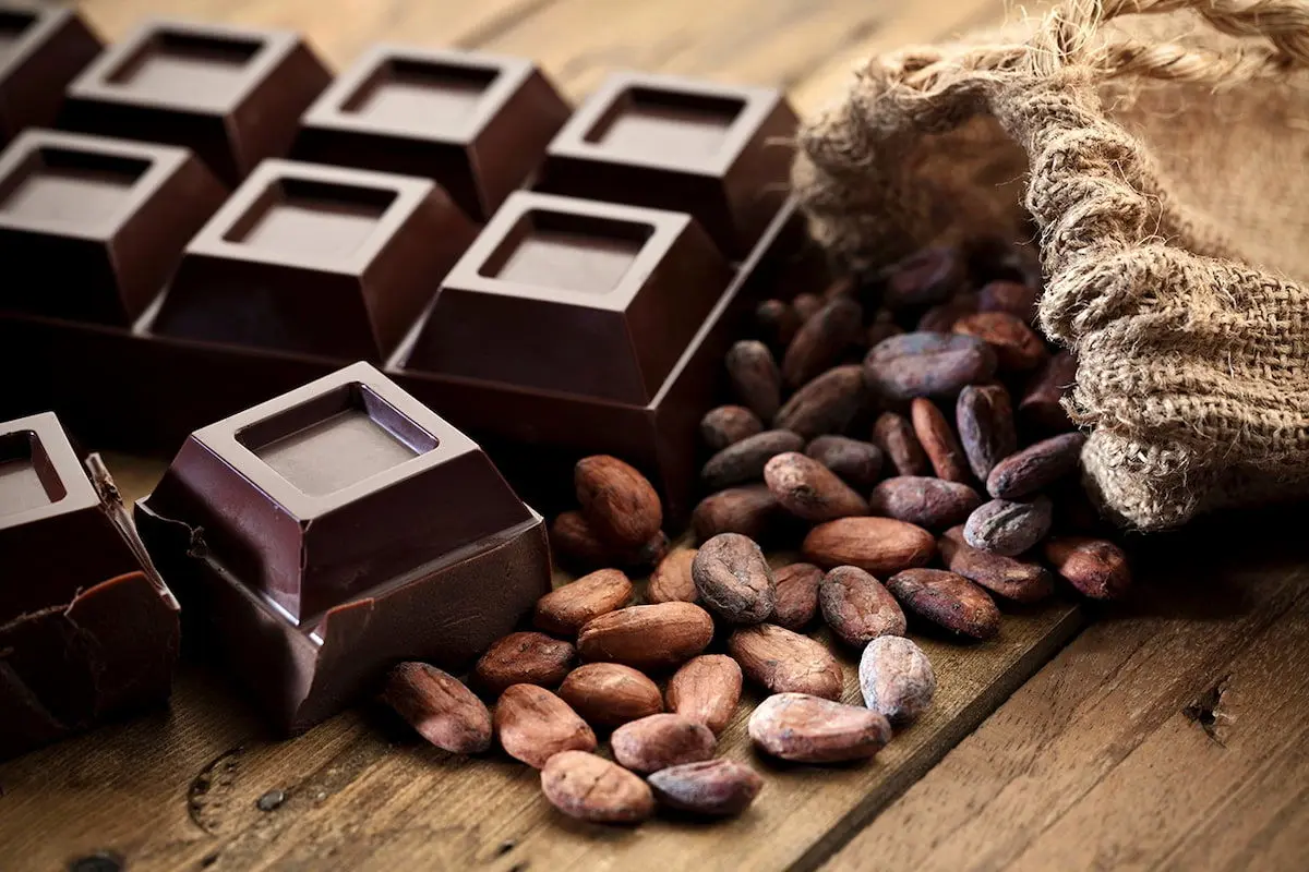 خواص و مضرات شکلات تلخ که باید بدانید