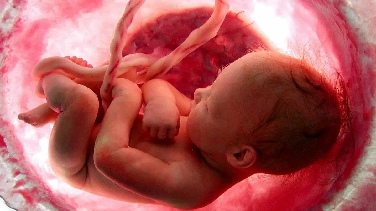 تصمیم جدید و شوکه‌کننده وزارت بهداشت؛ غربالگری جنین غیرممکن شد!