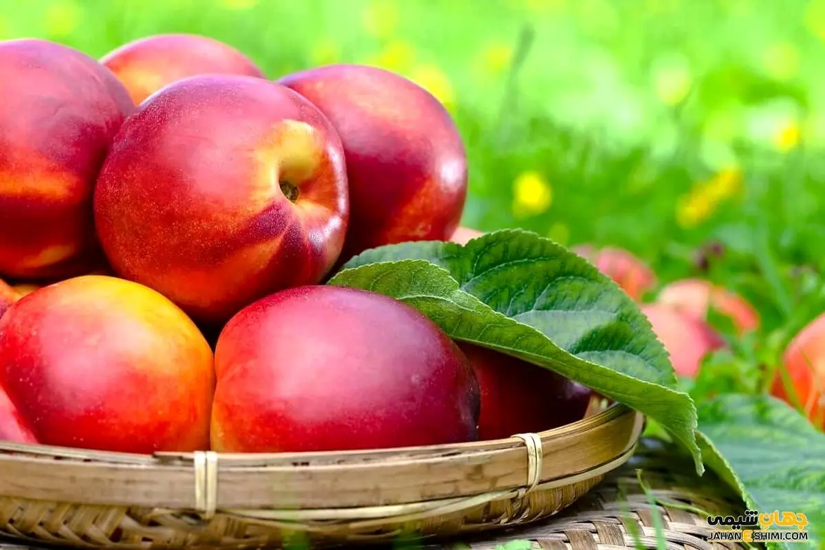 خوردن این میوه به تقویت بینایی کمک می‌کند!