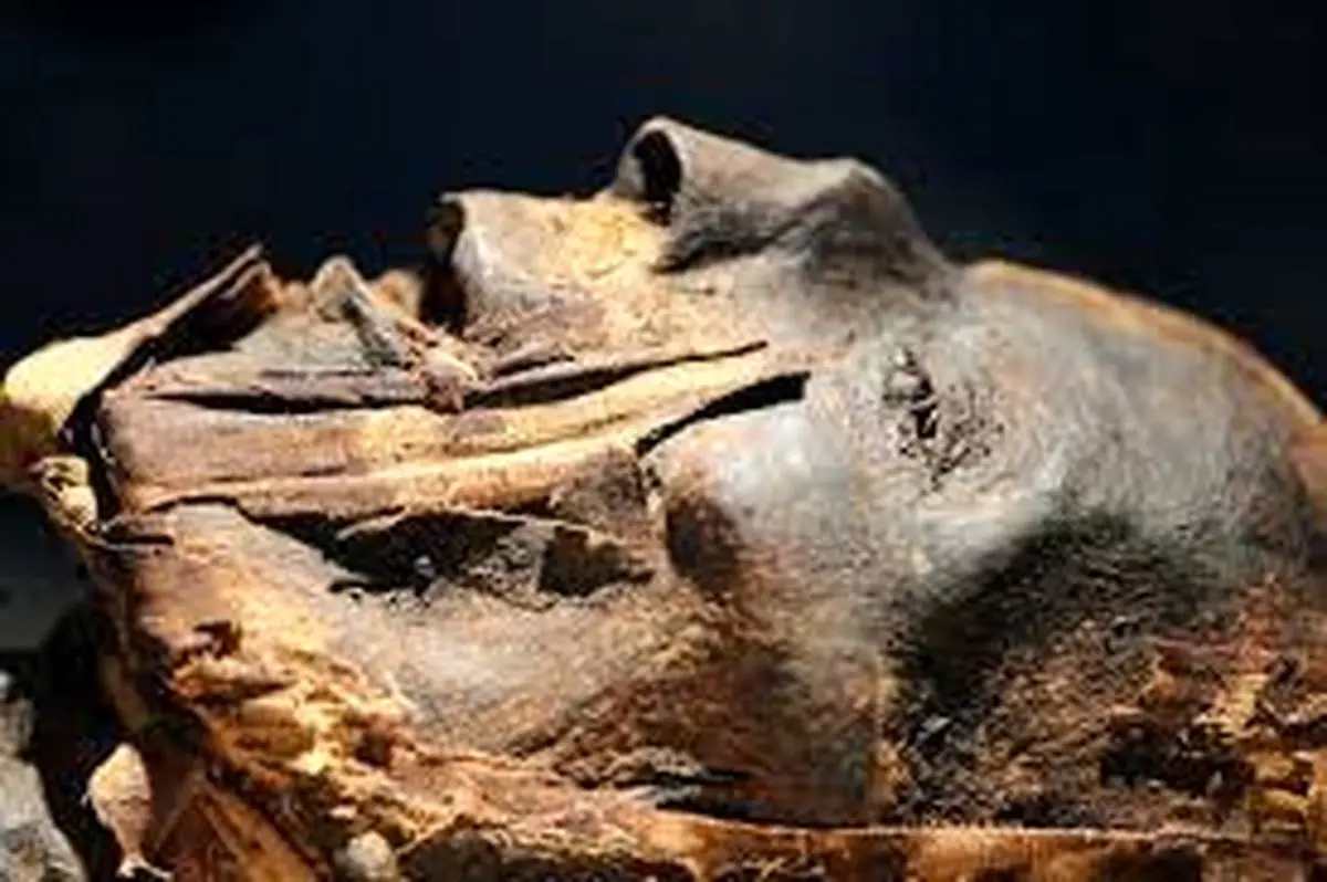 کشفیات جدید از دلایل مومیایی اجساد در مصر