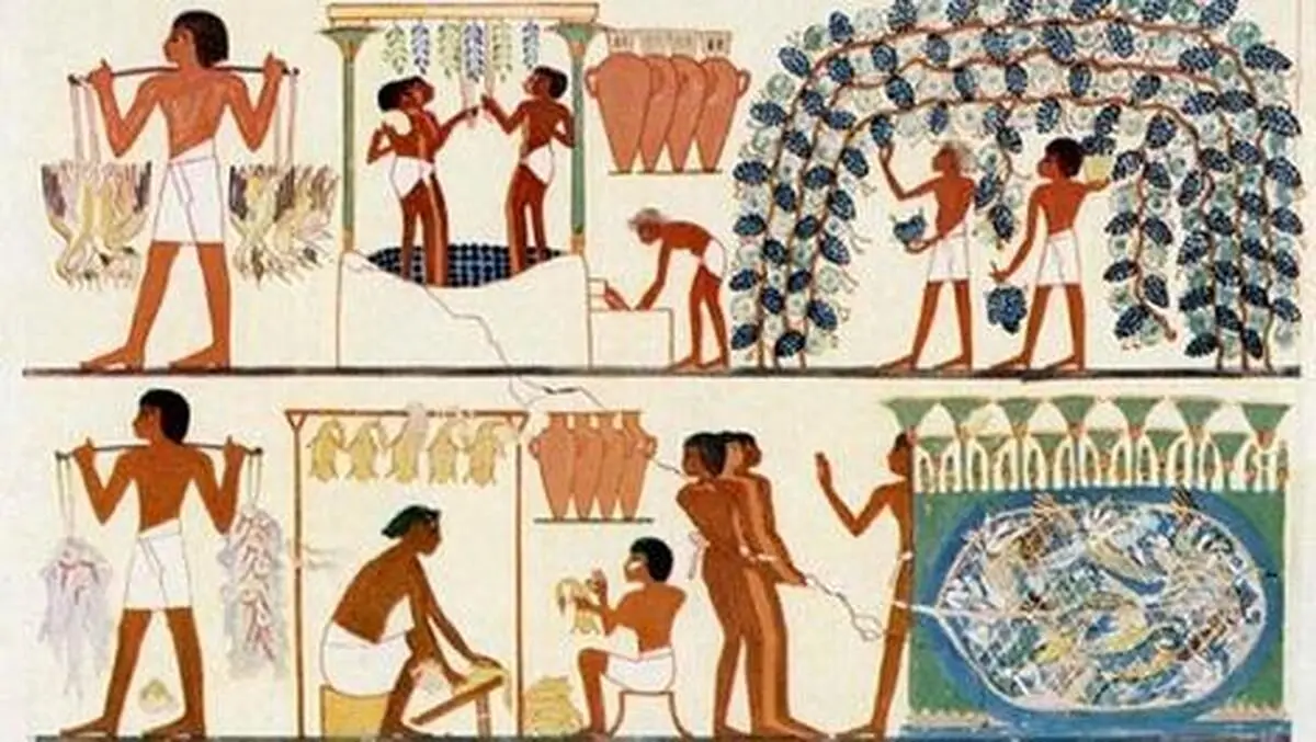 فراعنه در مصر باستان چه غذایی می‌خوردند؟