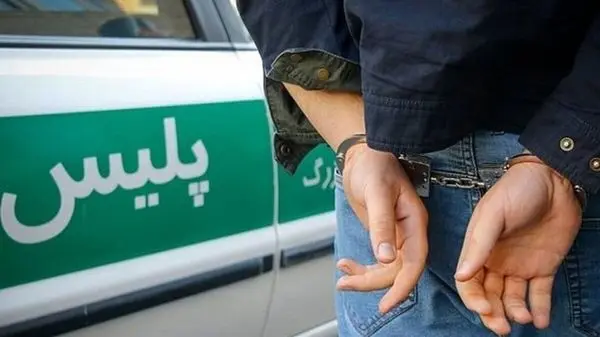 دستگیری سارقین مسلح که ۴۰ هزار دلار از یک خانه دزدیدند