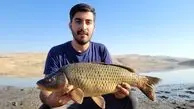 ویدئویی باورنکردنی از بیرون کشیدن سنگ زینتی از سر ماهی کپور سیاه