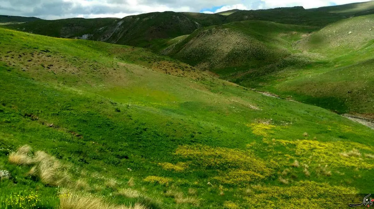 شهری در ایران که در آن کسی محتاج کولر نیست