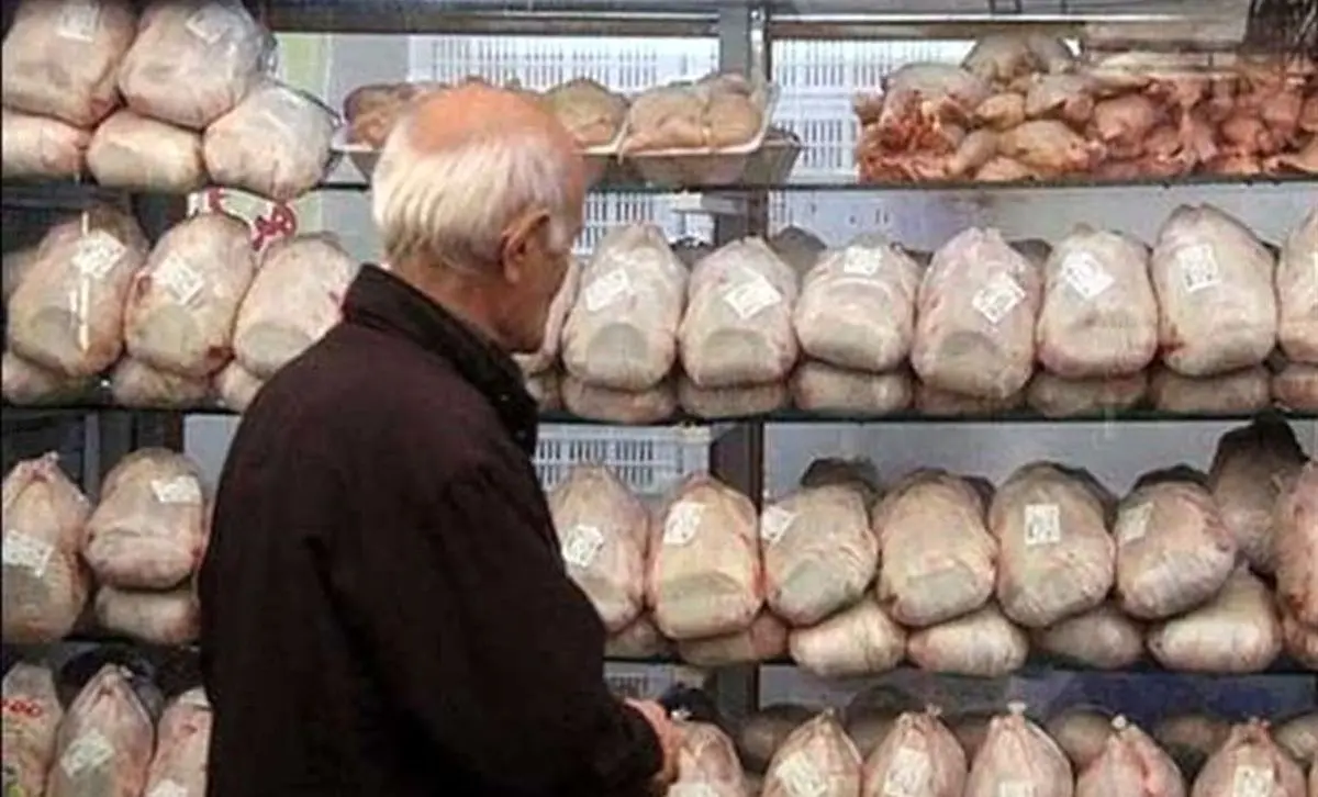 قیمت مرغ بین ۸۰ تا ۱۰۰ هزار تومان 