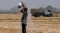 مرگ و میر کم سابقه در هند بر اثر گرمای شدید