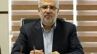 وزیر نفت: تعطیلی تهران مشگل‌گشا شد!