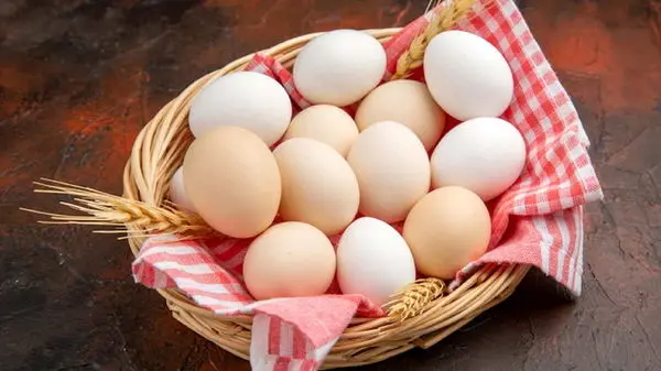 خوردن چند عدد تخم‌مرغ در هفته مجاز است؟