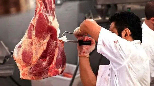 تکذیب حذف دلار ۲۸۵۰۰ تومانی برای واردات گوشت