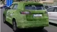 ویدئویی عجیب از ماشینی با روکش چمن در خیابانهای تهران!