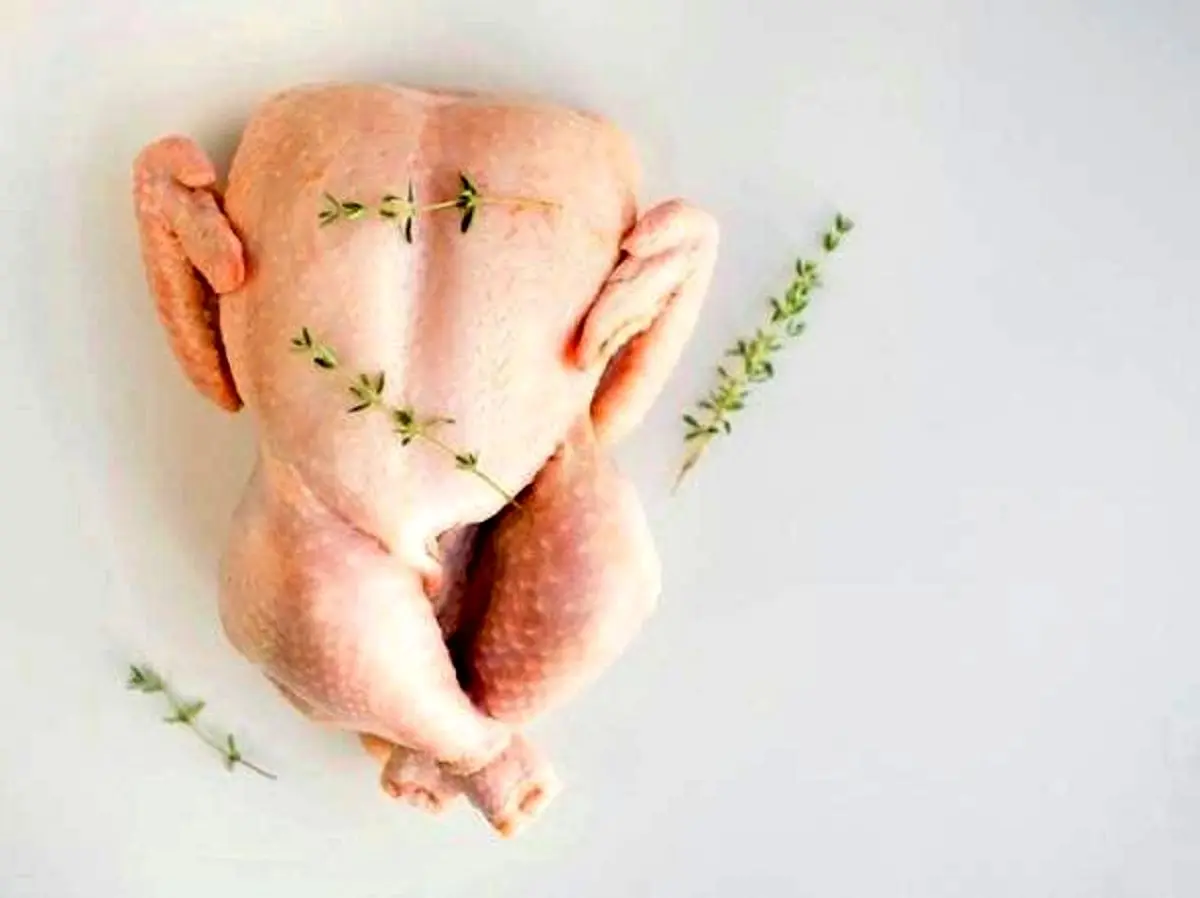 مشخصات مرغ سالم و قابل اطمینان برای خرید چیست؟