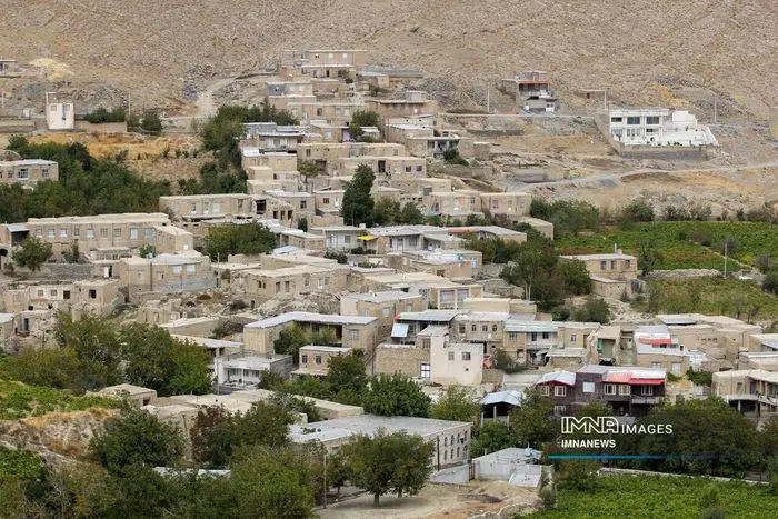 شیره پزی