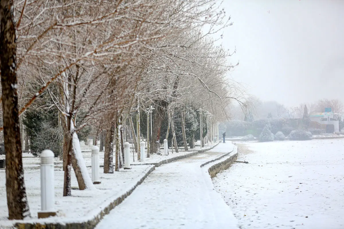 چند سانتی‌متر برف در تهران آمد؟