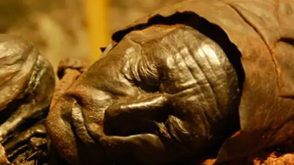 عجیب‌‌ترین مومیایی جهان؛ این جسد ۲ هزارساله‌ هنوز «خون» دارد!