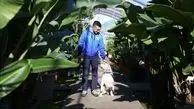 نجات درختان زیتون در حال مرگ با سگ!