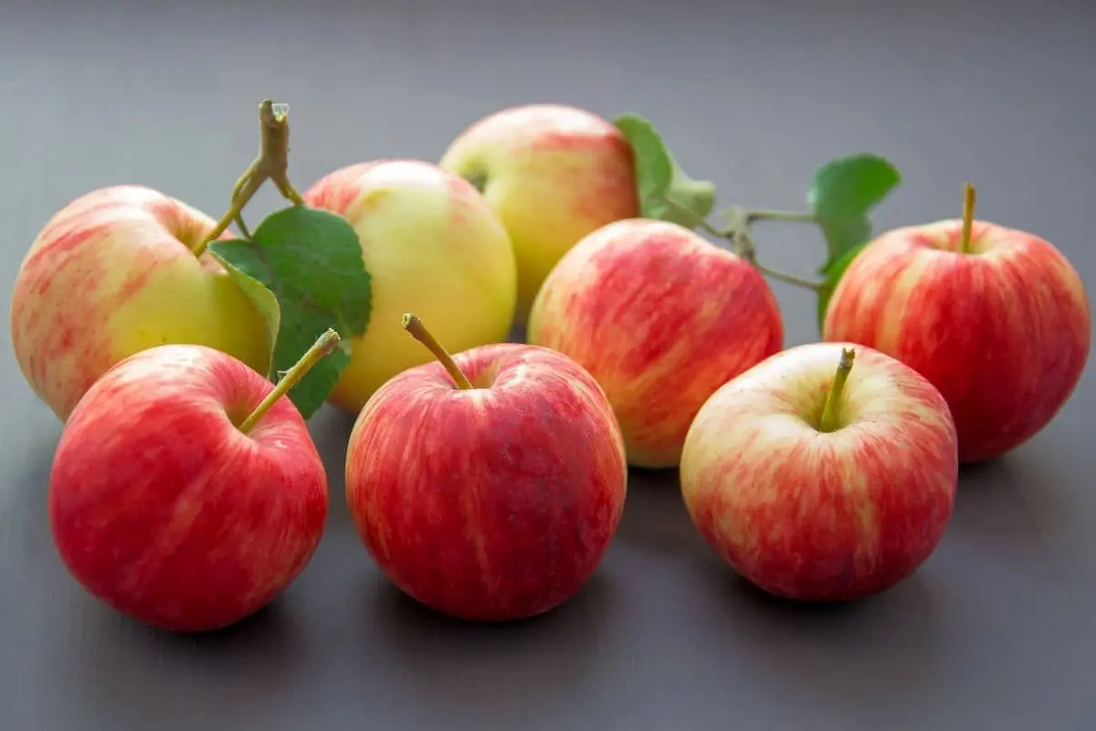 ۶ دلیل برای اینکه سیب بخورید و لاغر شوید!