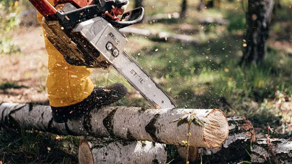 ویدئو: کندن کنده و جابه‌جا کردن درخت با یک دستگاه جالب