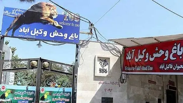 اعتراض حامیان حیوانات به صحبت‌های اخیر مهران رجبی