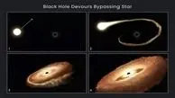 کشف سیاهچاله گرسنه در حال بلعیدن یک ستاره!