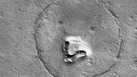 عجیب اما واقعی؛ پیدا شدن خرس در مریخ!