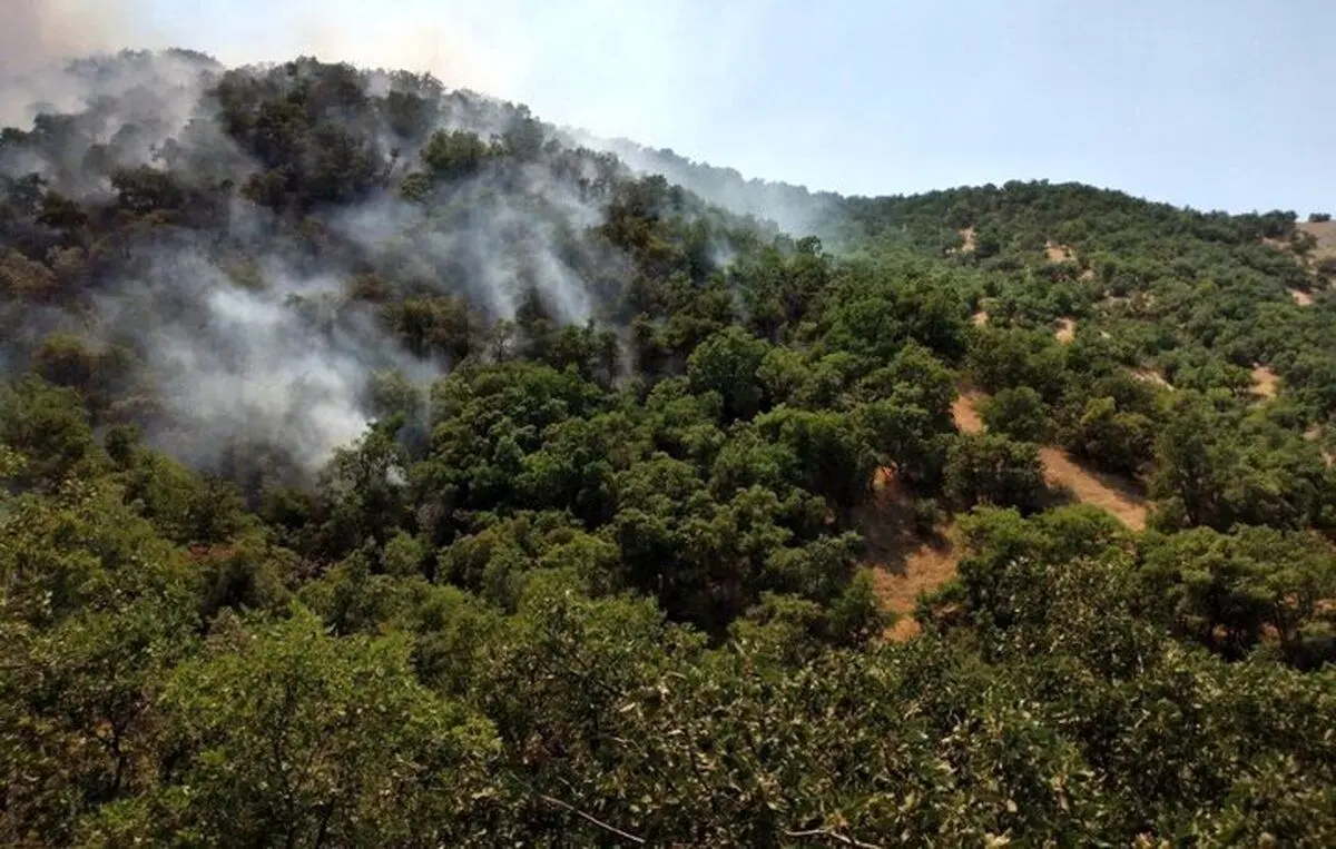 کردستان در آتش؛ تصویری از وسعت آتش‌سوزی در جنگل‌های مریوان!