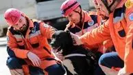 عضویت سگ نجات یافته از زیر آوار به تیم امداد
